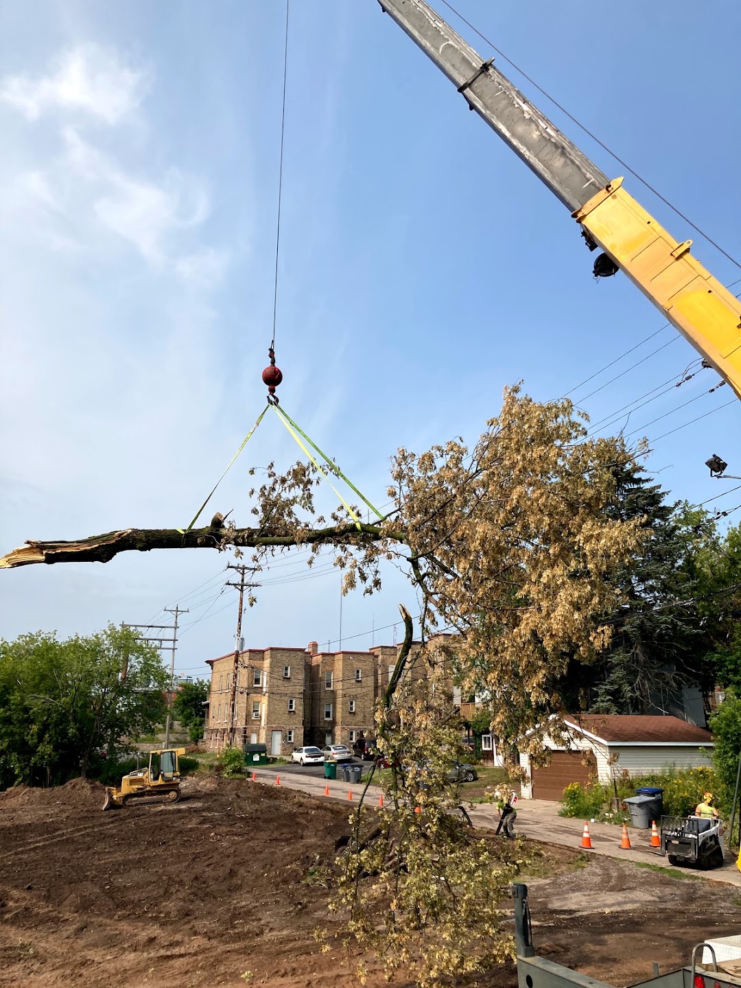 Duluth Tree Service
