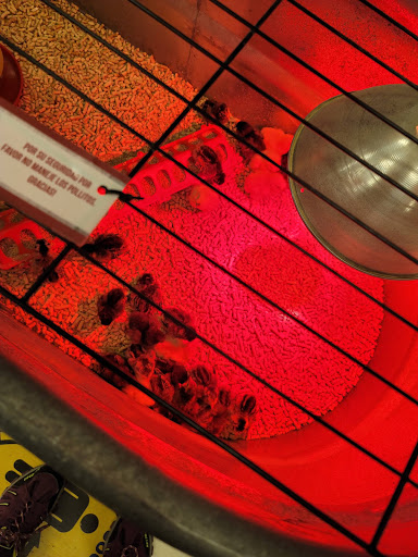 Animal Feed Store «Wilco Farm Store», reviews and photos, 2950 S Santiam Hwy, Lebanon, OR 97355, USA