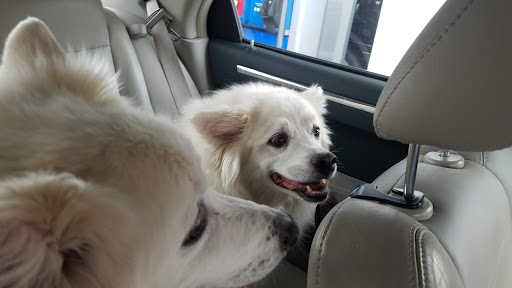 Pet Supply Store «Petco Animal Supplies», reviews and photos, 10055 Wellington Rd, Manassas, VA 20110, USA