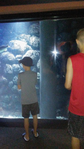 Aquarium «North Carolina Aquarium at Pine Knoll Shores», reviews and photos, 1 Roosevelt Blvd, Pine Knoll Shores, NC 28512, USA