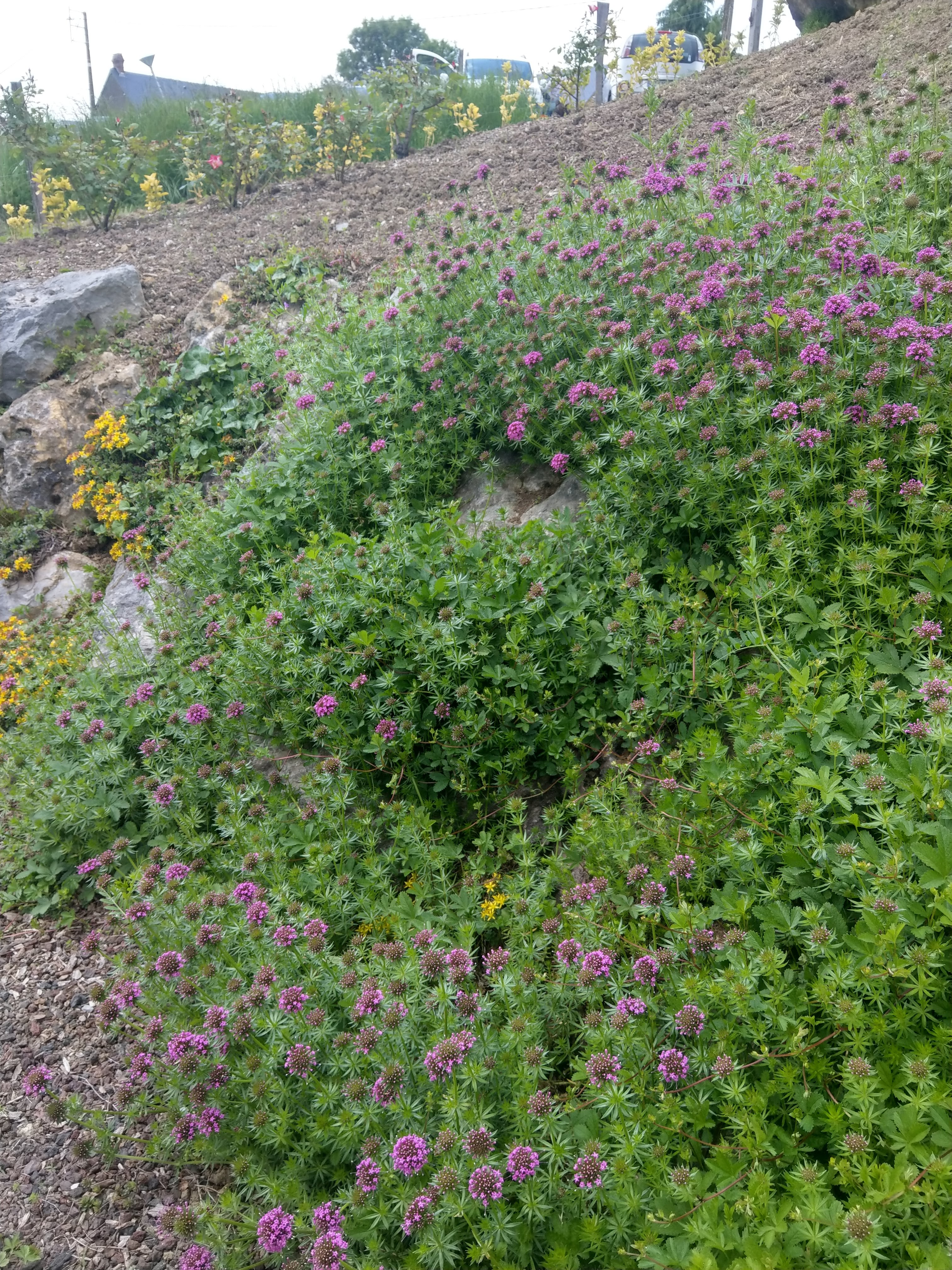 Photo n° 3 de l'avis de Pascal. fait le 25/05/2018 à 21:02