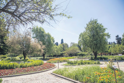 Zeytinburnu Tıbbi Bitkiler Bahçesi