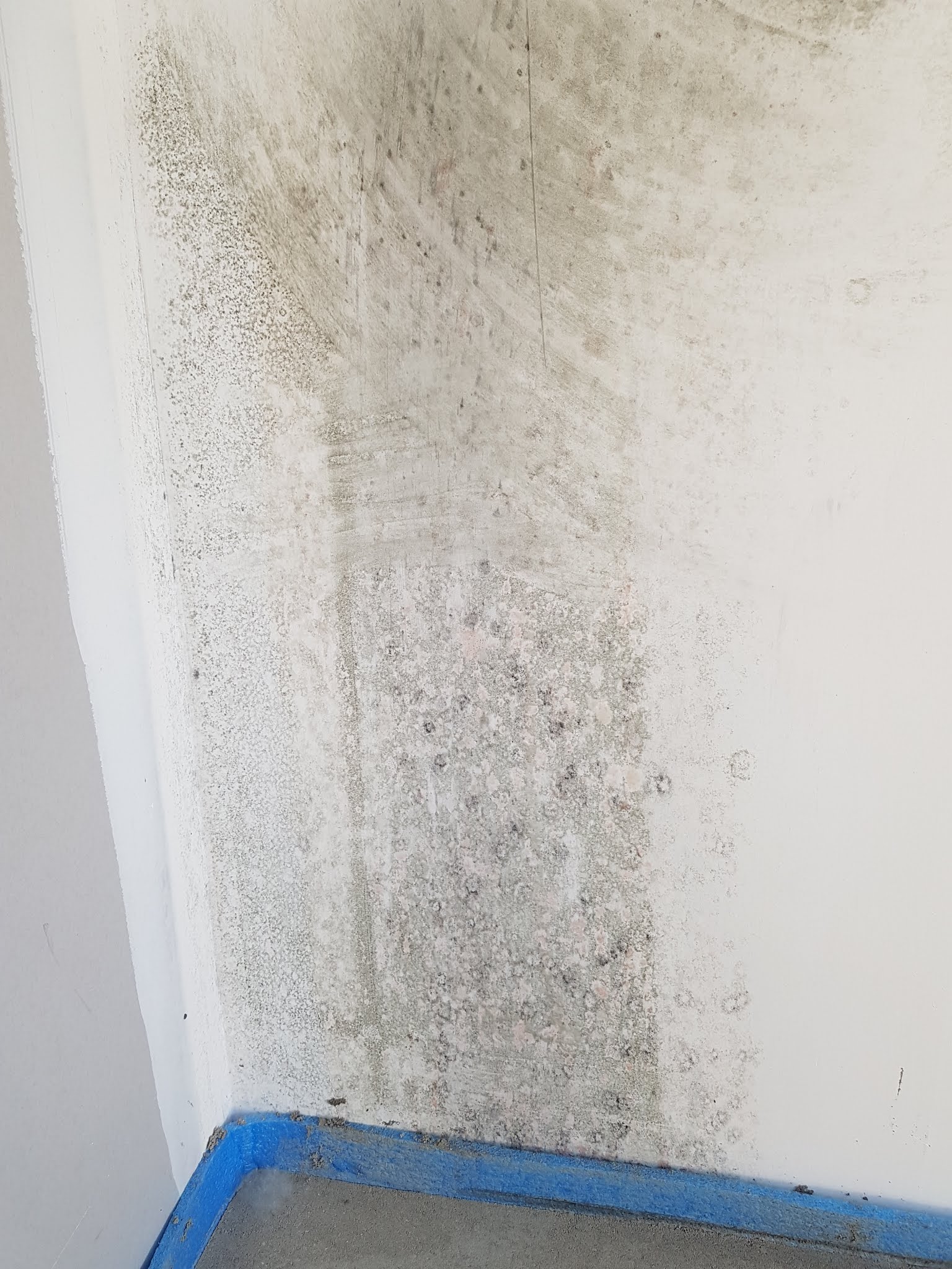 Photo n° 10 de l'avis de C.U fait le 05/07/2019 à 14:21