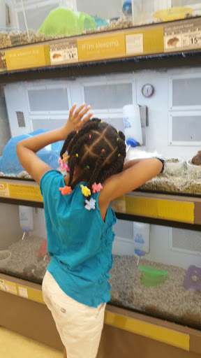 Pet Supply Store «Petco Animal Supplies», reviews and photos, 8404 Eager Rd b, Brentwood, MO 63144, USA