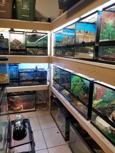 Pet Store «Fosters Exotic Pet Center», reviews and photos, 40116 US Hwy 19 N, Tarpon Springs, FL 34689, USA