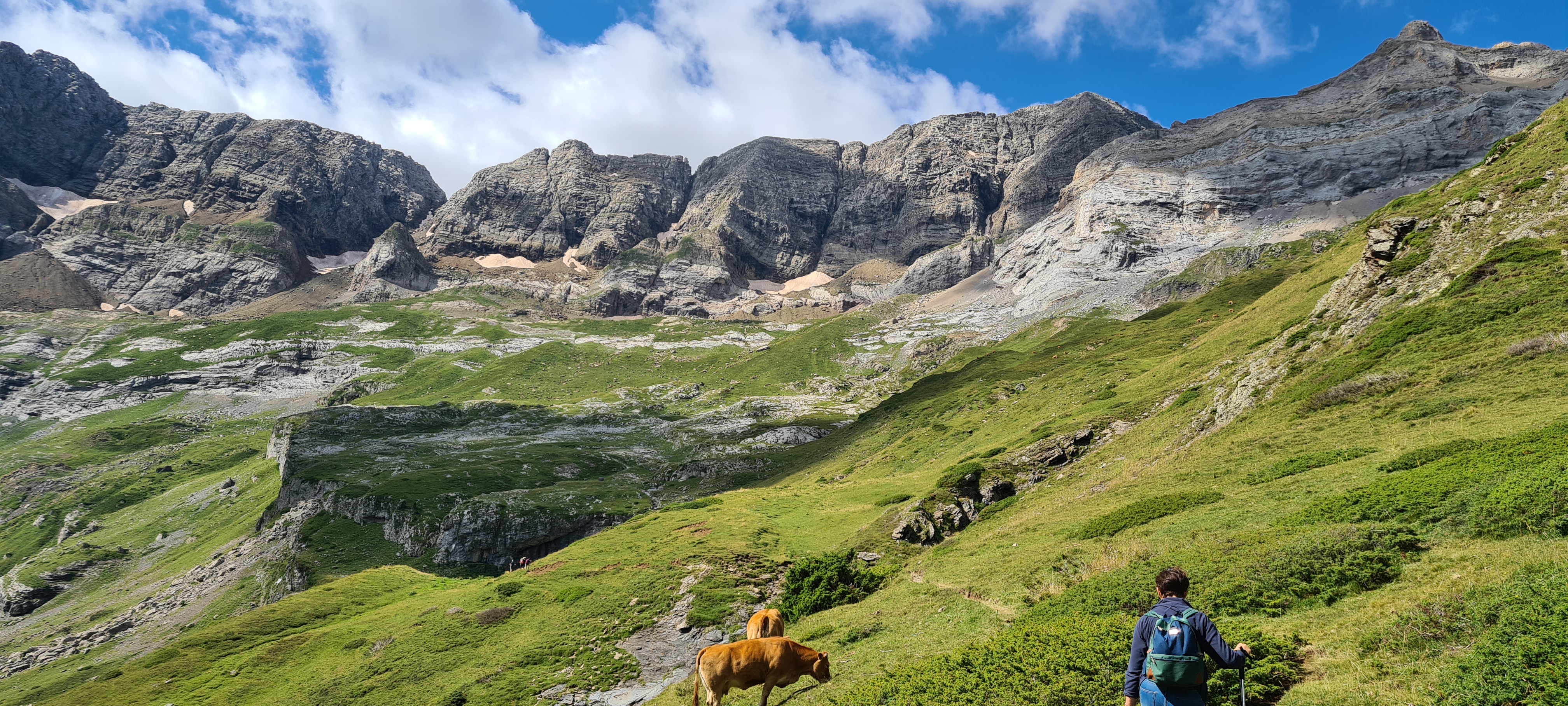Photo n° 13 de l'avis de Thierry.a fait le 31/07/2022 à 14:26