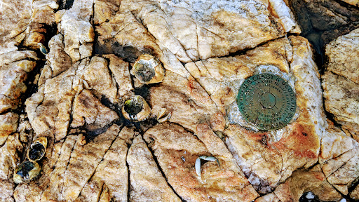 Nature Preserve «Littlejohn Island Preserve», reviews and photos, Pemasong Ln, Yarmouth, ME 04096, USA