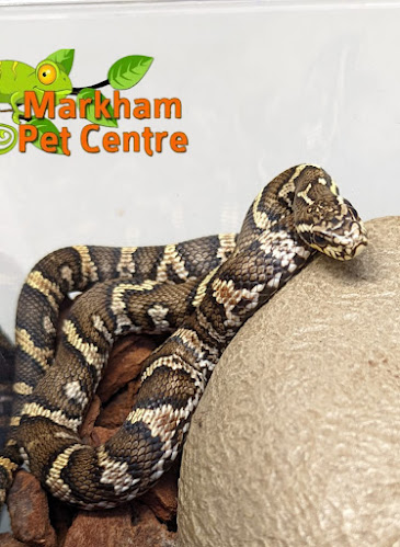 Markham Pet Centre - Shop