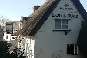 The Dog & Duck image