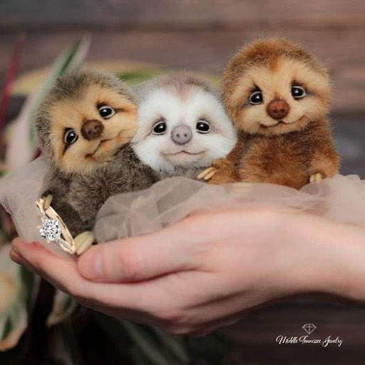 Jewelry Store «Middle Tennessee Jewelry», reviews and photos, 889 S Jefferson Ave, Cookeville, TN 38501, USA