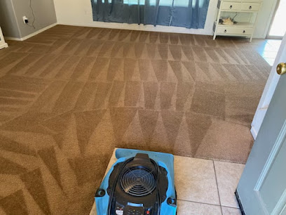 Network Carpet Cleaning Services
