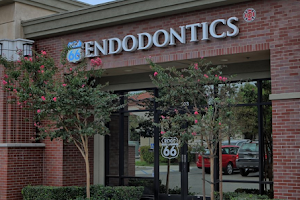 Root 66 Endodontics image
