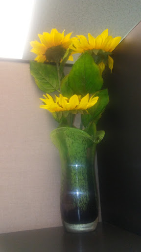 Window Installation Service «Key Exteriors, Inc.», reviews and photos