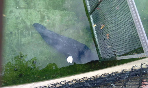 Amusement Park «Como Town», reviews and photos, 1301 Midway Pkwy, St Paul, MN 55103, USA