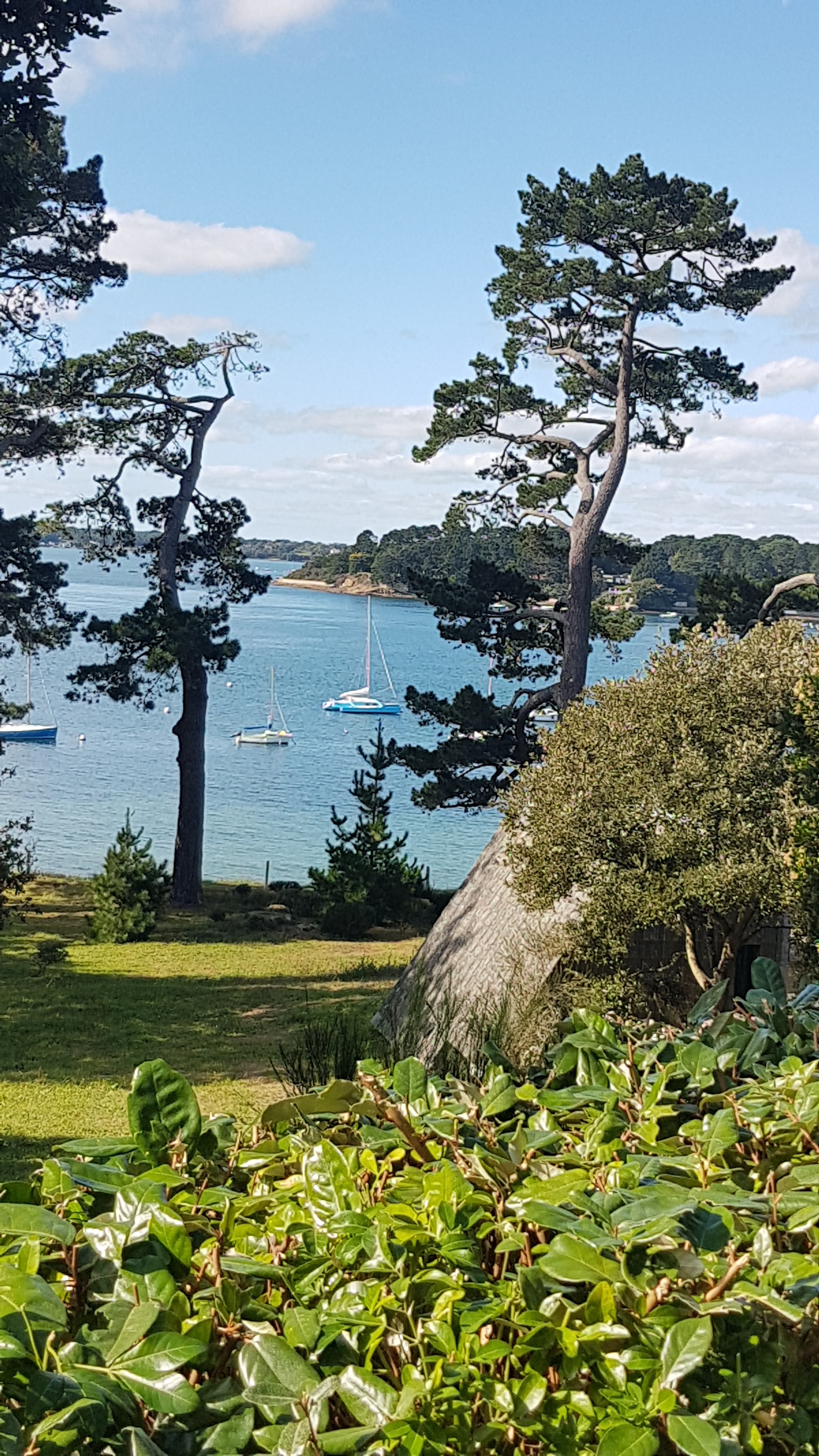 Photo n° 29 de l'avis de Mostrey.a fait le 09/10/2020 à 12:36