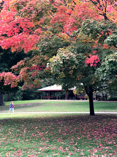 Park «Larz Anderson Park», reviews and photos, 325 Goddard Ave, Brookline, MA 02445, USA