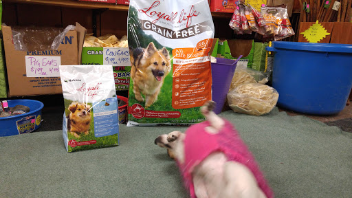 Pet Supply Store «Higbie Farm Supplies Inc», reviews and photos, 3440 Union St, North Chili, NY 14514, USA