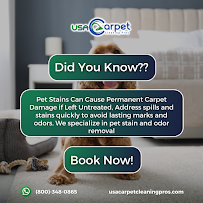 USA Carpet Cleaning Pros - Photo 6 - Car repair in Markham, IL, Chicago