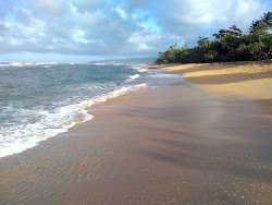 Playa Cajuajo'in fotoğrafı geniş bir kıyı şeridi ile birlikte