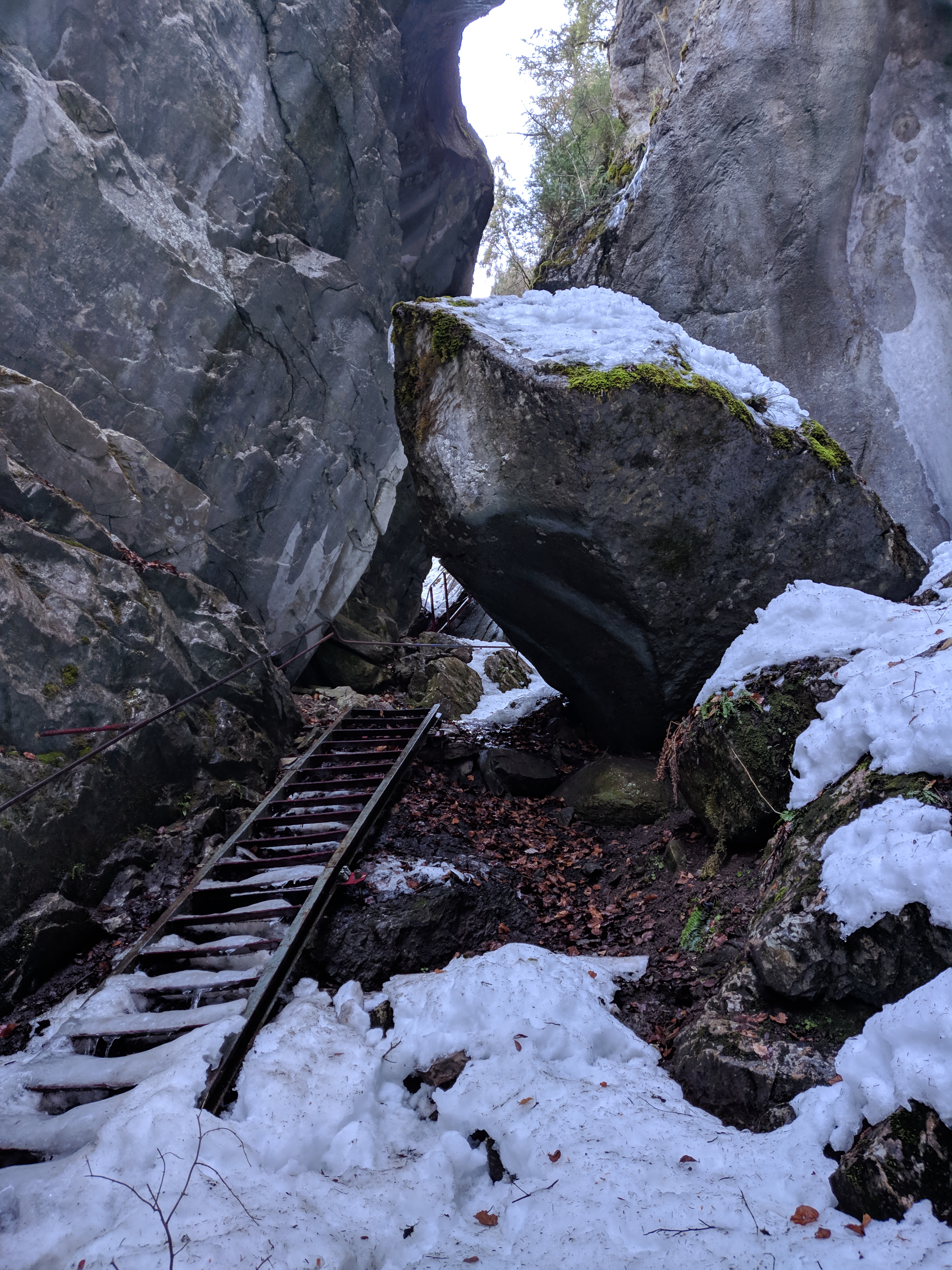Photo n° 3 de l'avis de Alexandra. fait le 23/02/2019 à 14:40