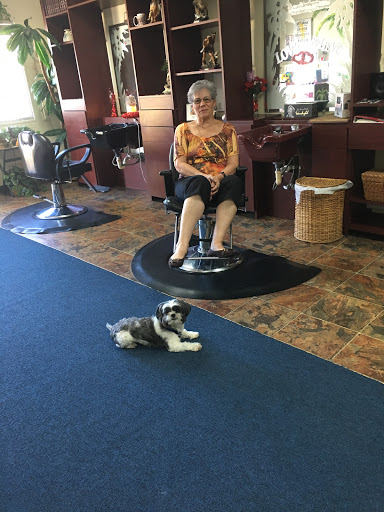 Beauty Salon «Clipper Hair Salon», reviews and photos, 9114 US-192, Clermont, FL 34714, USA