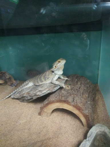 Pet Supply Store «Pet Supplies Plus», reviews and photos, 1500 E Court St Suite 720, Seguin, TX 78155, USA