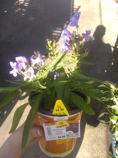 Home Improvement Store «The Home Depot», reviews and photos, 200 Altama Connector, Brunswick, GA 31520, USA