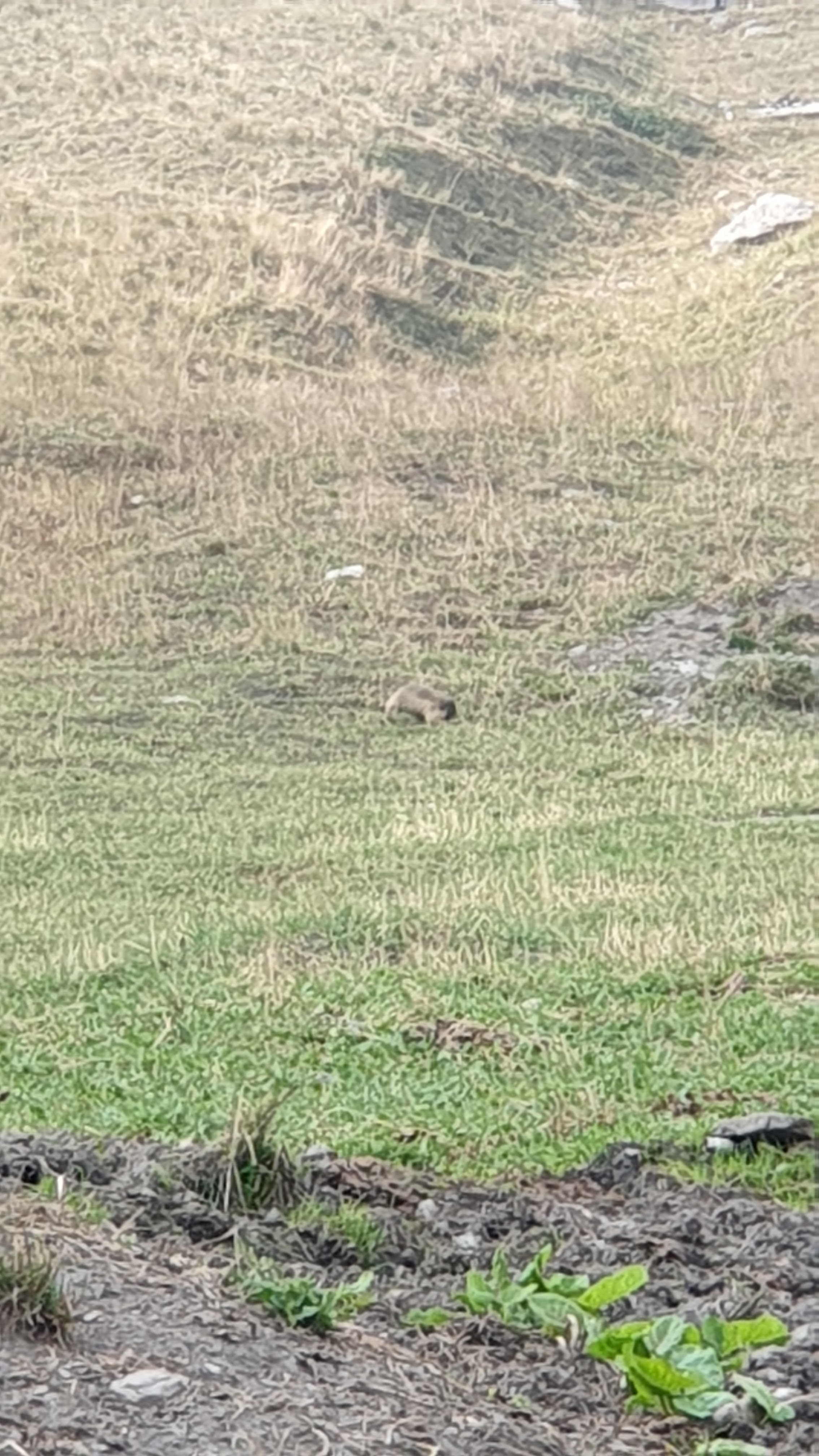 Photo n° 3 de l'avis de Angelo.. fait le 10/08/2019 à 10:28