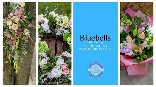 Bluebells Lincoln Ltd - Florist