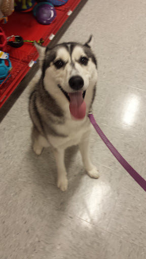 Pet Supply Store «Petco Animal Supplies», reviews and photos, 3731 Gateway Dr, Eau Claire, WI 54701, USA