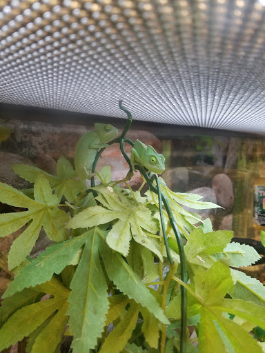 Pet Supply Store «Petco Animal Supplies», reviews and photos, 682 Broadway #1n, Saugus, MA 01906, USA