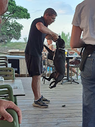 Photo n°23 de Maona Cap Sud à Venzolasca ()