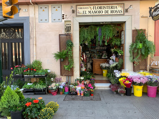 Floristería Terracota. El Manojo De Rosas en Málaga, Málaga