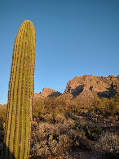 Tourist Attraction «Linda Vista Trail», reviews and photos, 730 E Linda Vista Rd, Oro Valley, AZ 85737, USA