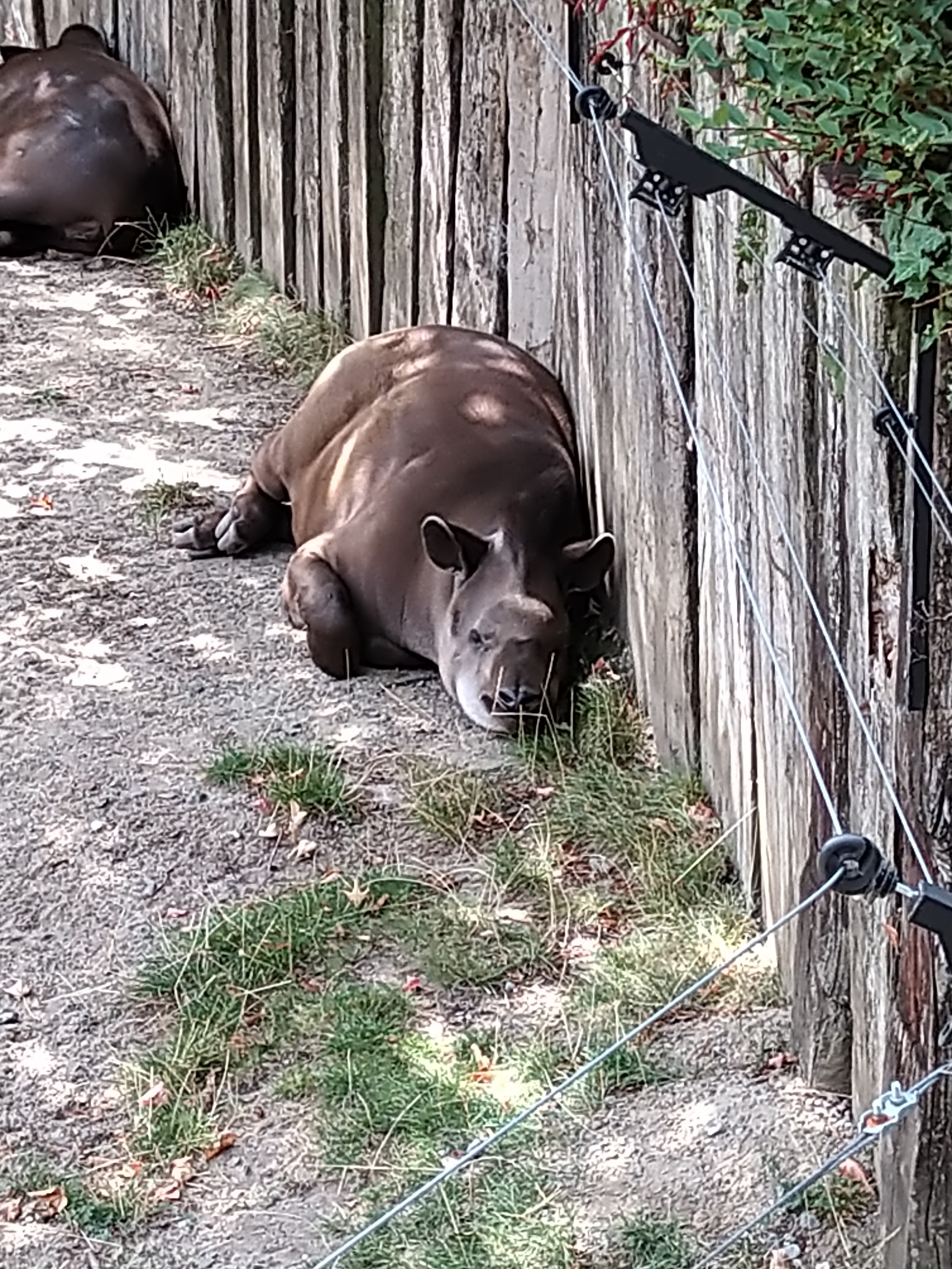 Photo n° 18 de l'avis de HardLoSeDa. fait le 15/08/2019 à 14:36