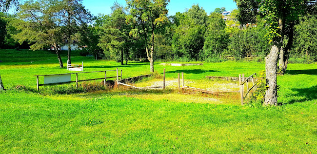 Oberer Weier (Projekt Wiederherstellung Weiher)
