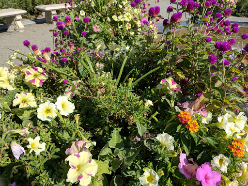 Park «Confluence Park», reviews and photos, 2250 15th St, Denver, CO 80202, USA