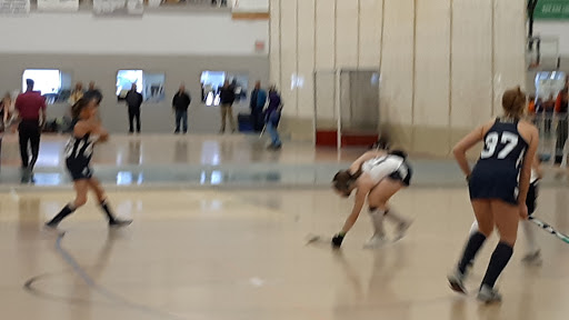 Sports Complex «Libertyville Sports Complex», reviews and photos, 1950 US-45, Libertyville, IL 60048, USA