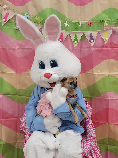 Pet Supply Store «PetSmart», reviews and photos, 5005 S 74th St, Greenfield, WI 53220, USA