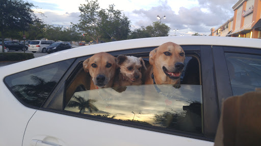 Mexican Restaurant «Chipotle Mexican Grill», reviews and photos, 2500 NE 10th Ct, Homestead, FL 33033, USA