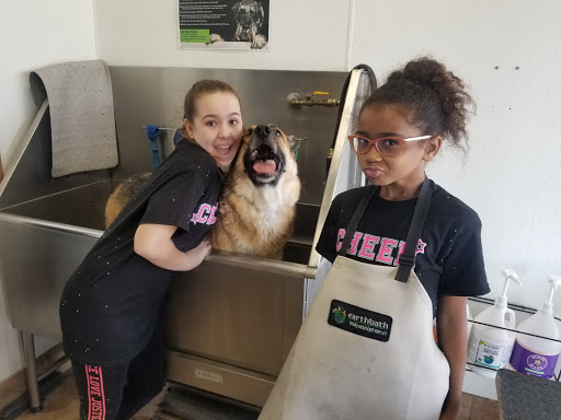 Pet Store «Pet Planet», reviews and photos, 5150 S Rural Rd #106, Tempe, AZ 85282, USA