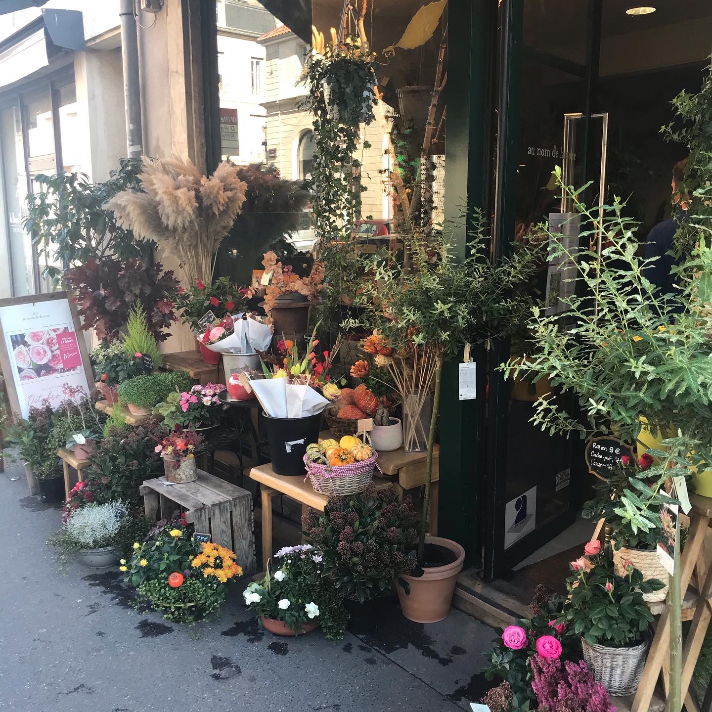 Photo n° 2 de l'avis de Johanne.D fait le 14/09/2022 à 21:27