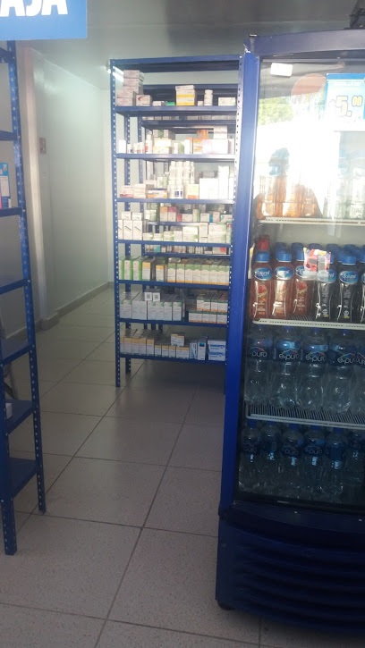 Farmacias Similares, , Salina Cruz