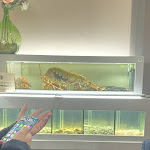 Photo n°1 de l'avis de Domenico.a fait le 16/11/2023 à 07:35 sur le  100 Gradi Ristorante à Carinaro