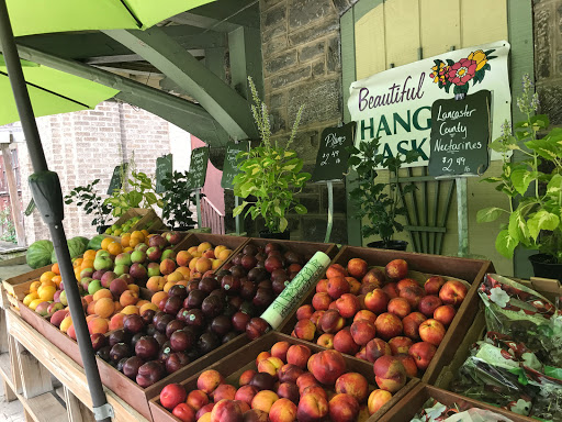 Garden Center «Chestnut Hill Flower & Garden», reviews and photos, 7639 Germantown Ave, Philadelphia, PA 19118, USA