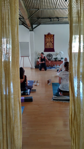 Yoga Studio «Yoga Kula», reviews and photos, 1700 Shattuck Ave, Berkeley, CA 94709, USA