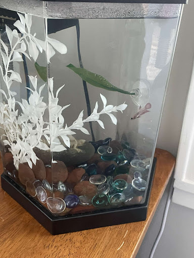 Pet Supply Store «Petco Animal Supplies», reviews and photos, 710 W 66th St, Richfield, MN 55423, USA