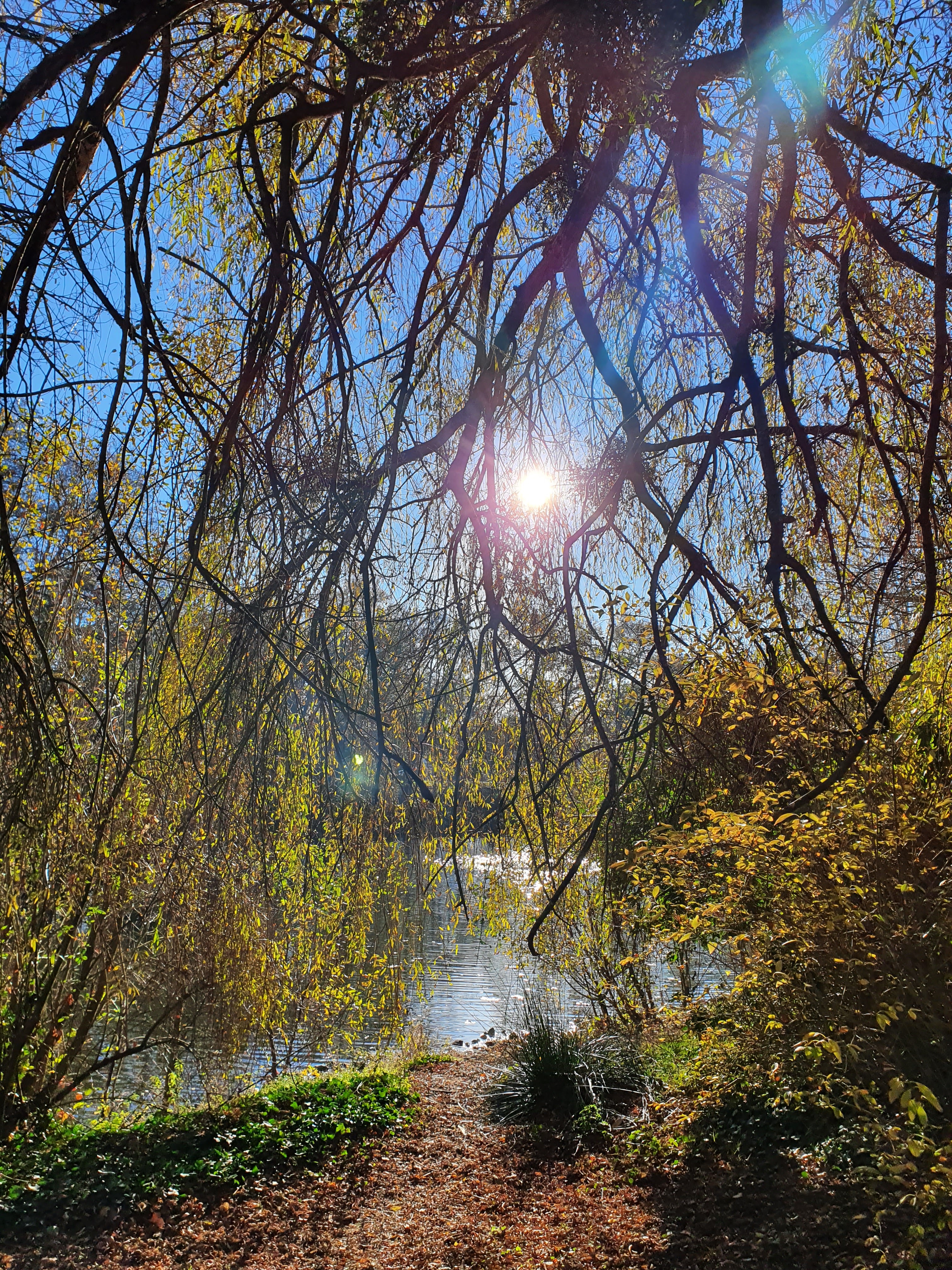 Photo n° 5 de l'avis de Irène.. fait le 29/11/2020 à 15:28