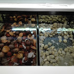 Photo n°6 de l'avis de vale.i fait le 03/06/2017 à 20:42 sur le  Frijenno Magnanno à Arzano