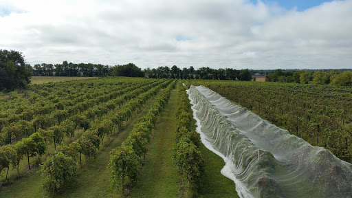 Winery «Grace Hill Winery», reviews and photos, 6310 S Grace Hill Rd, Whitewater, KS 67154, USA